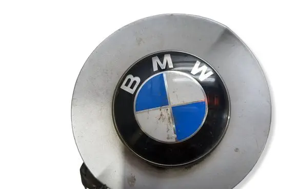 BMW Z4 E85 E86 Front indicator light 69165619 224320