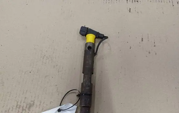 Renault Scenic I Fuel injector 7700875035 0432193754