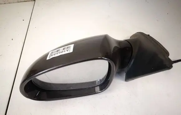 Volkswagen PASSAT B6 Front door electric wing mirror e1010781