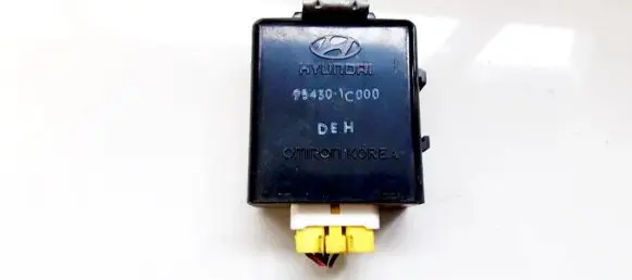 Hyundai Getz Other control units/modules 954301c000