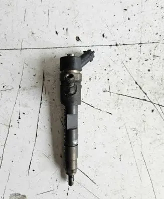 Suzuki Grand Vitara II Fuel injector 0445110230 8200389369