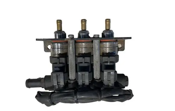 Volkswagen Phaeton LP gas injector 67R016409 110R006410