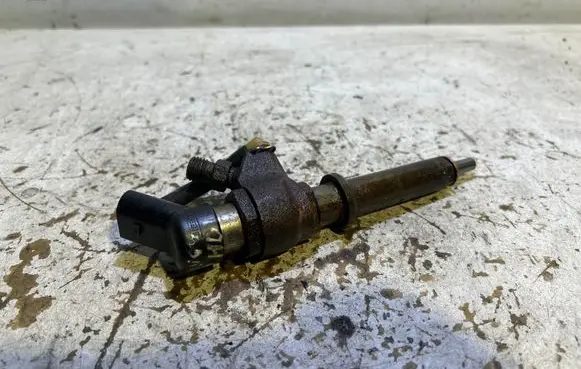 Citroen Berlingo Fuel injector 9636819380