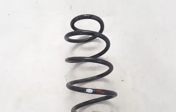 Renault Koleos II Front coil spring 540105HA1B