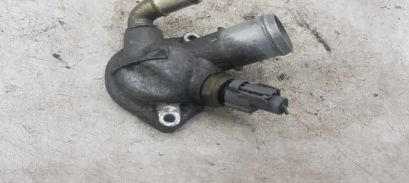 Thermostat/thermostat housing