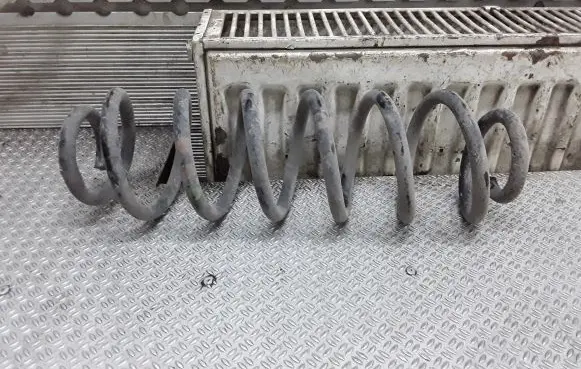 Skoda Roomster (5J) Rear coil spring