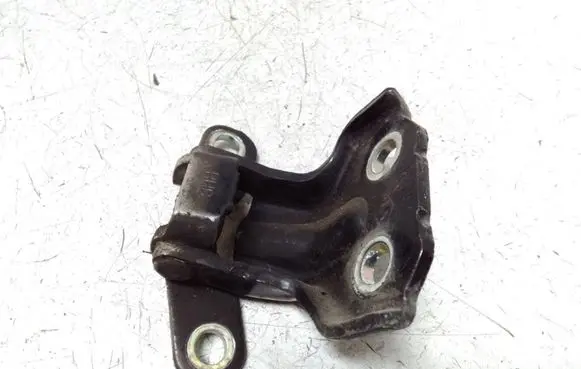 KIA Sorento Rear door lower hinge