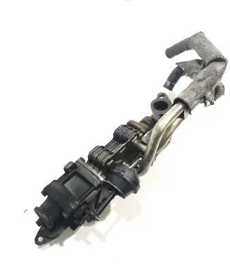 Volkswagen Phaeton EGR valve cooler