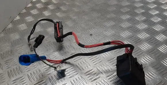 Renault Latitude (L70) Other wiring loom U4650003