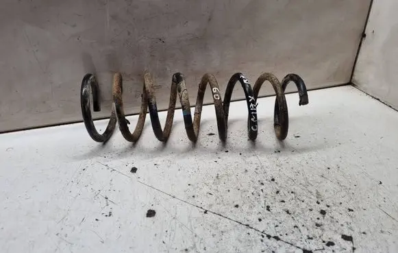 Ford Focus C-MAX Rear coil spring