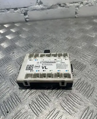 Mercedes-Benz S C217 Door control unit/module A2229009909