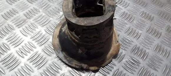 Coil spring mount
