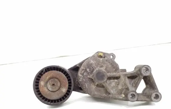 Volkswagen Golf V Alternator belt tensioner 038903315F