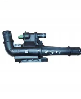 Thermostat/thermostat housing