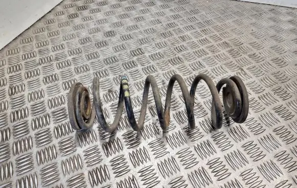 Rear coil spring
