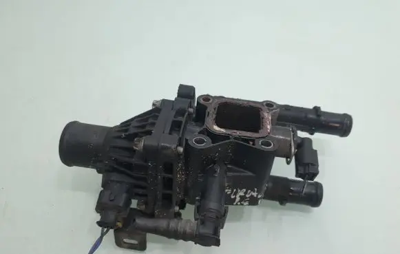 Thermostat/thermostat housing