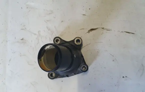 Thermostat/thermostat housing