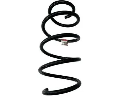 Ford Focus Front coil spring BV615310NKB