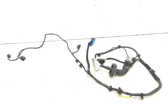 Maserati Ghibli Front door wiring loom 06700086010