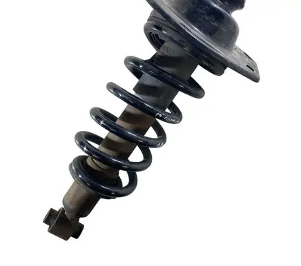 Chevrolet Camaro Rear shock absorber with coil spring 20953581