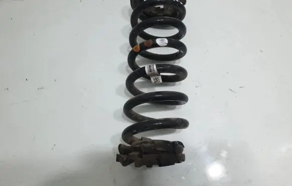 Land Rover Discovery Sport Rear coil spring FK725B749GB