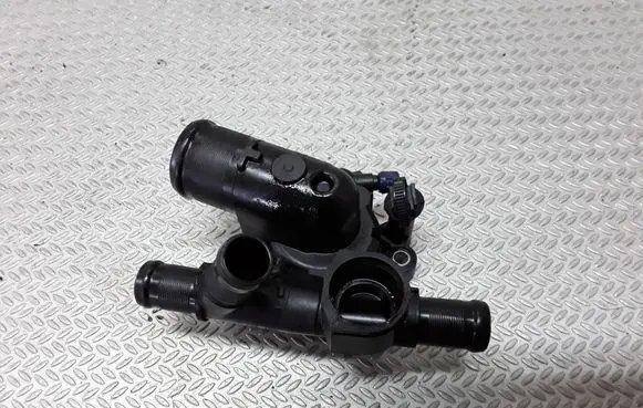 Thermostat/thermostat housing