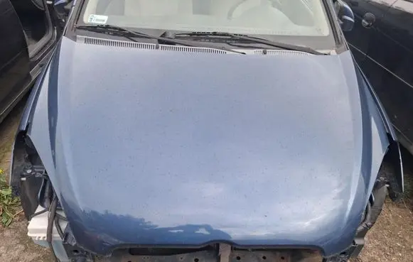 Engine bonnet/hood