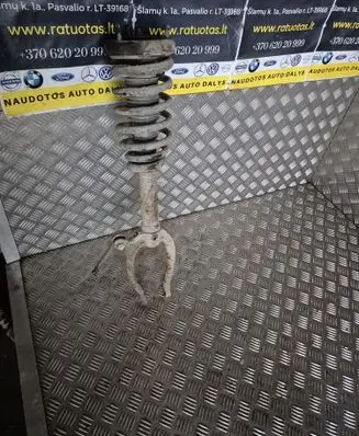 Hyundai Sonata Front shock absorber with coil spring