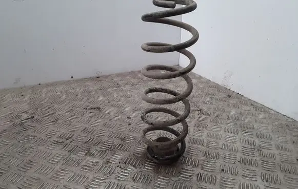 Volkswagen Golf IV Rear coil spring