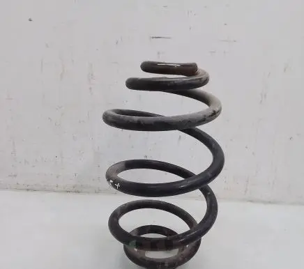 Volkswagen PASSAT B5.5 Rear coil spring