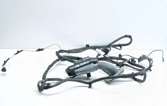 BMW 5 F10 F11 Front door wiring loom 9255986 4100170