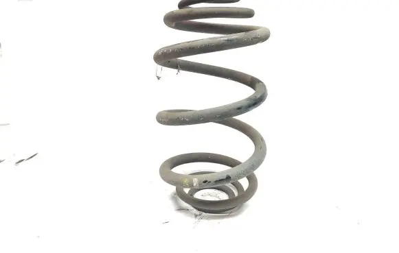 Renault Trafic III (X82) Rear coil spring