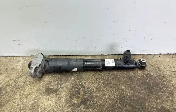 Volkswagen ID.7 Rear shock absorber/damper 1EE512037D