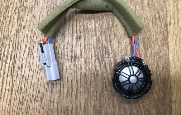 Front door high frequency speaker