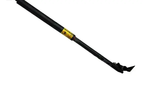Tailgate strut