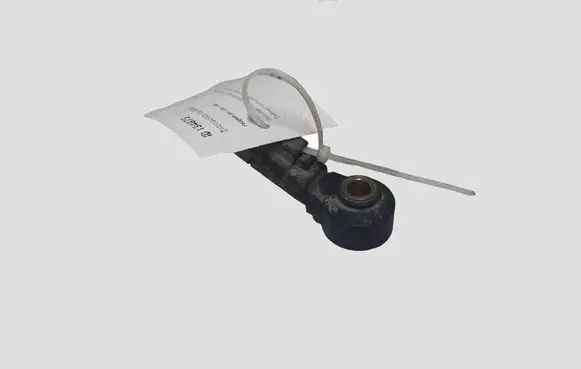 Peugeot 307 Detonation knock sensor 9645311480 0261231168
