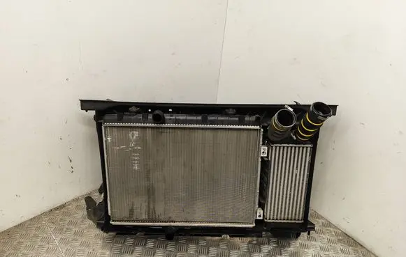 Citroen DS4 Radiator set 9800291280 9676568780 9800477280