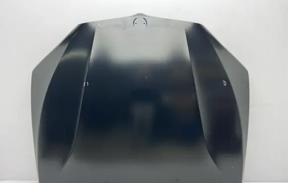 Engine bonnet/hood