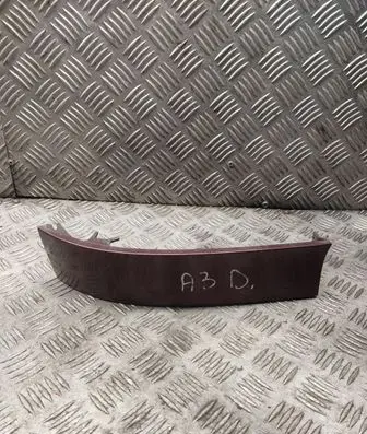 Rear/tail light trim molding
