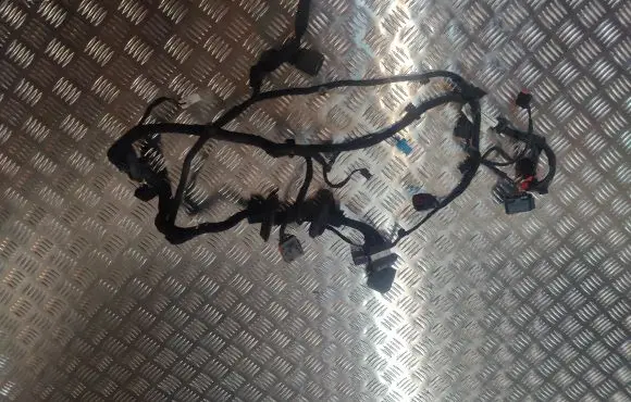 Jaguar XF X250 Front door wiring loom 9X2314B121