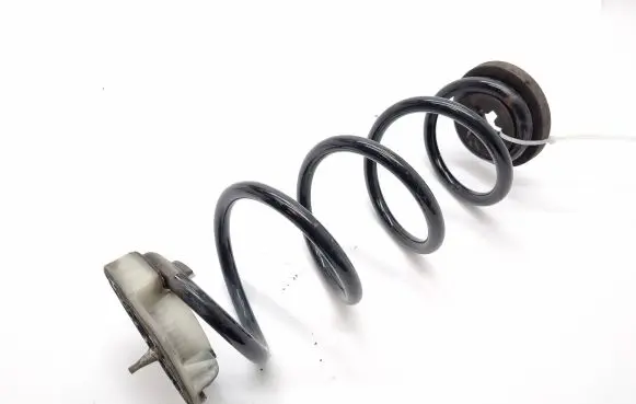 Nissan Murano Z52 Rear coil spring 550326RN0A
