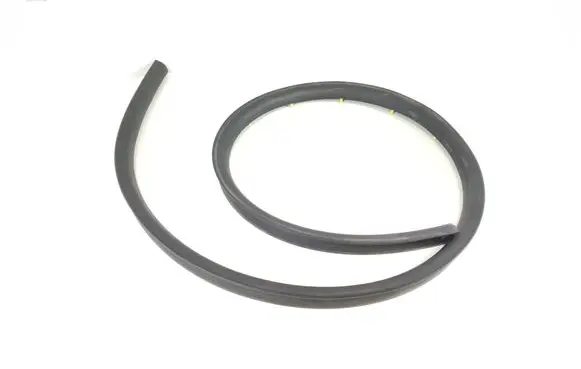Ford F150 Front door rubber seal FL34-1620758-AB