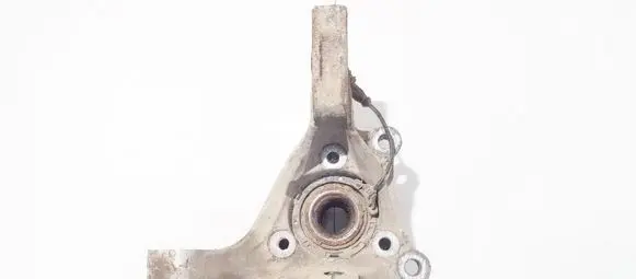 Opel Signum Front wheel hub 6698l