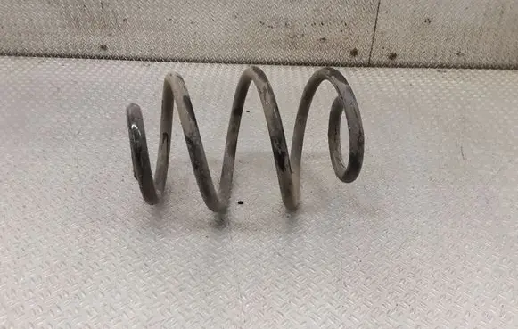 Rear coil spring