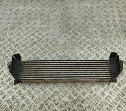 Intercooler radiator