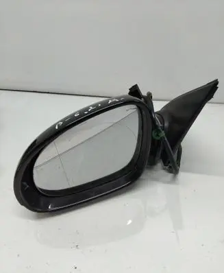 Volkswagen PASSAT B6 Front door electric wing mirror