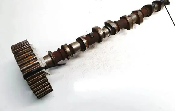 Ford Focus Camshaft f913b