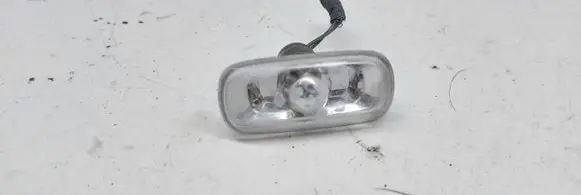 Front fender indicator light