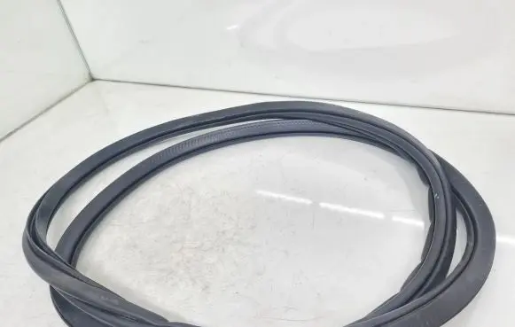 Polestar 2 Rear door rubber seal (on body) 31662570