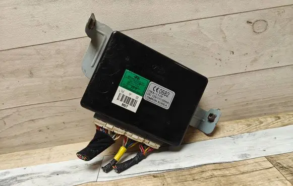 Hyundai Tucson JM Other control units/modules 954002E210